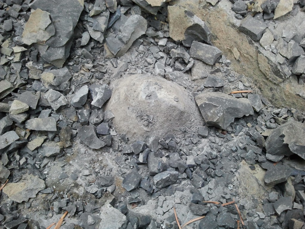 Once you know what to look for, spotting concretions is the EASY part.